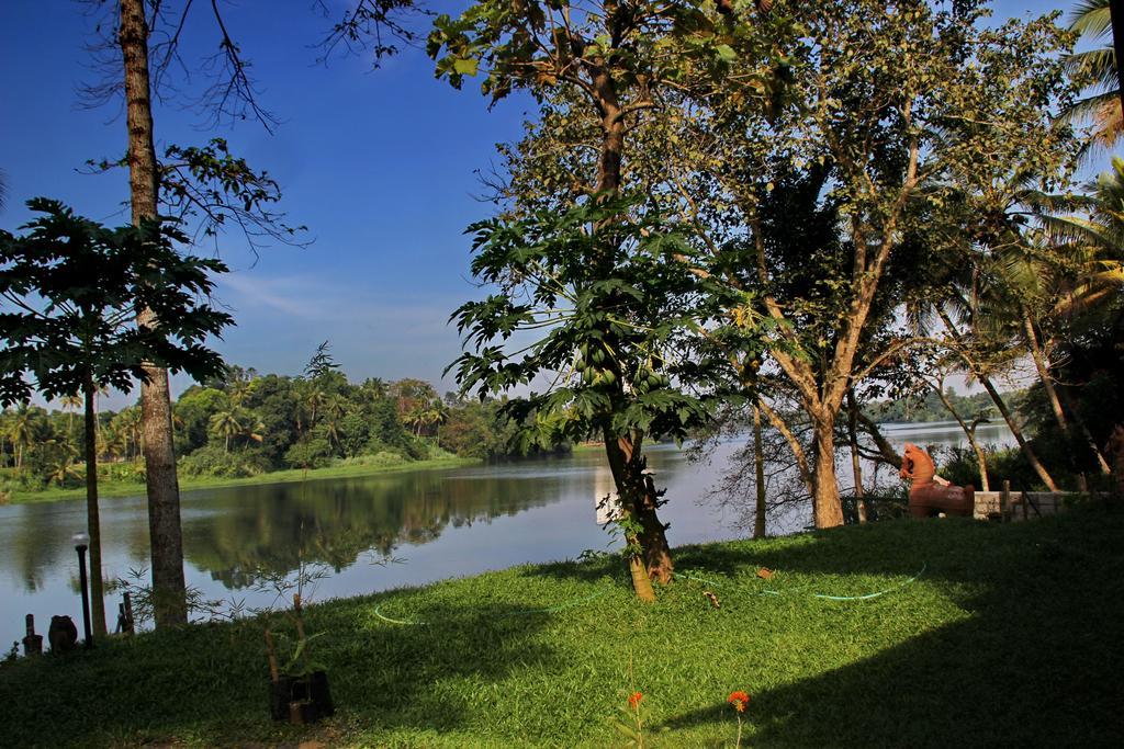 Pearl Spot Bed & Breakfast Nedumbassery Dış mekan fotoğraf